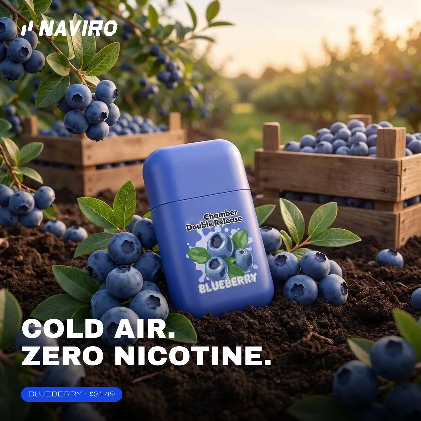 Naviro Cool Inhaler Blueberry with fresh blueberries